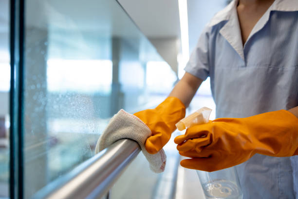 maid services